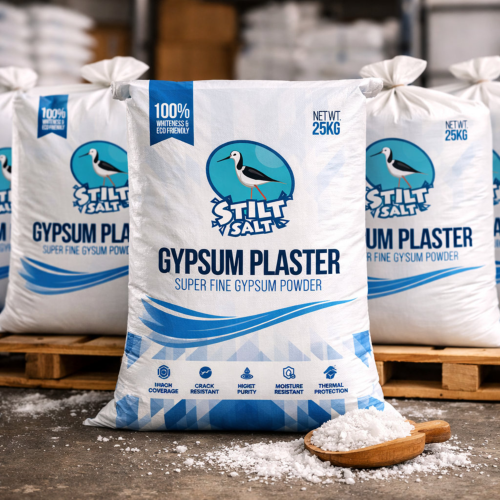 Gypsum Plaster